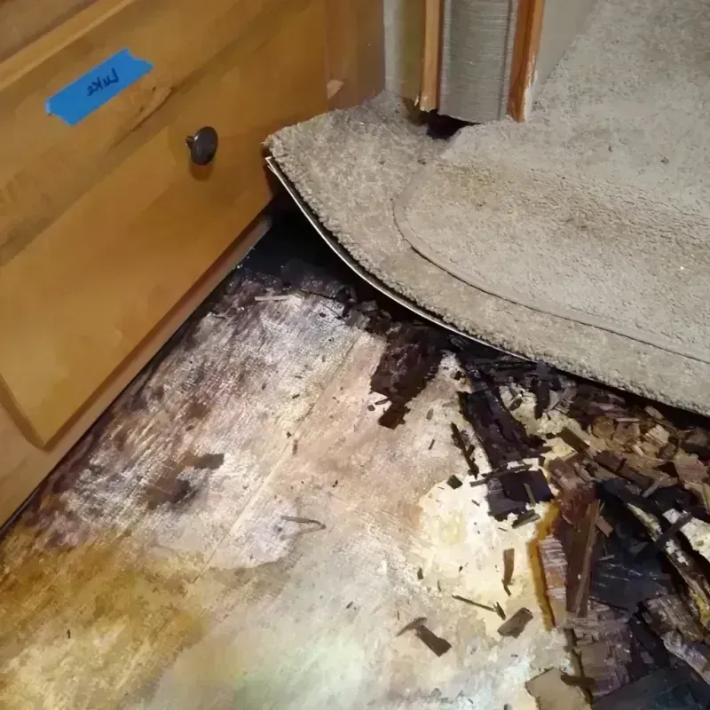 Wood Floor Water Damage in Sylvester, GA